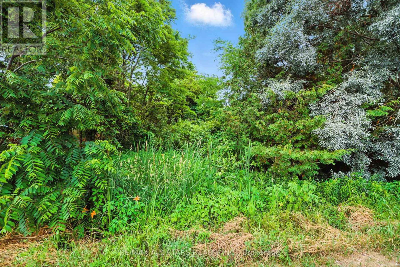 Lot 61 Summer Drive, Kawartha Lakes, Ontario K0M 2C0 - Photo 4 - X12966326