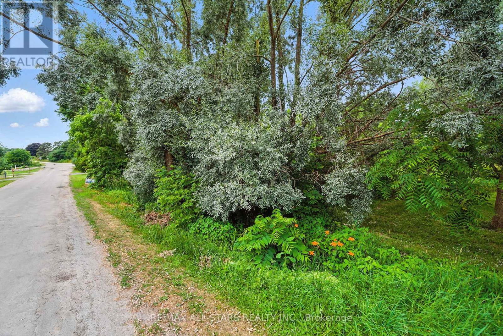 Lot 61 Summer Drive, Kawartha Lakes, Ontario K0M 2C0 - Photo 5 - X12966326