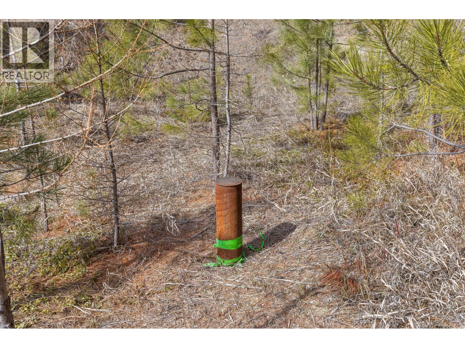 21 Nine Mile Place Osoyoos Photo 17