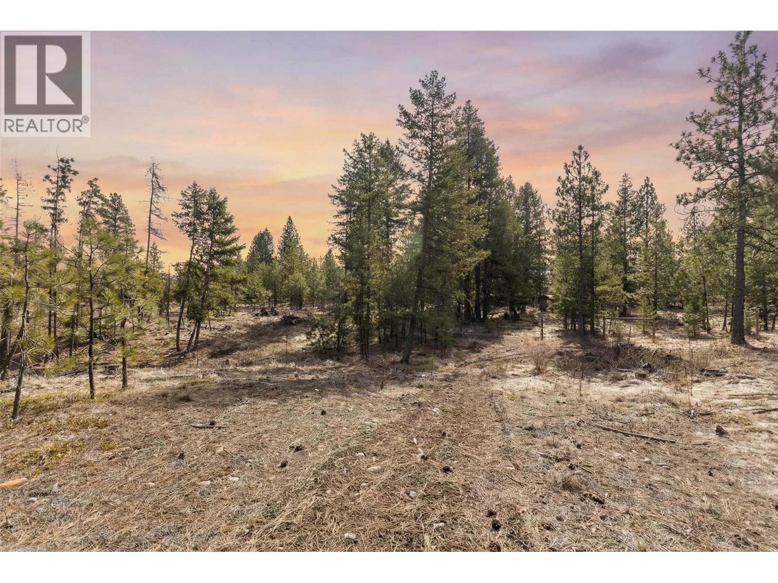 21 Nine Mile Place Osoyoos Photo 9