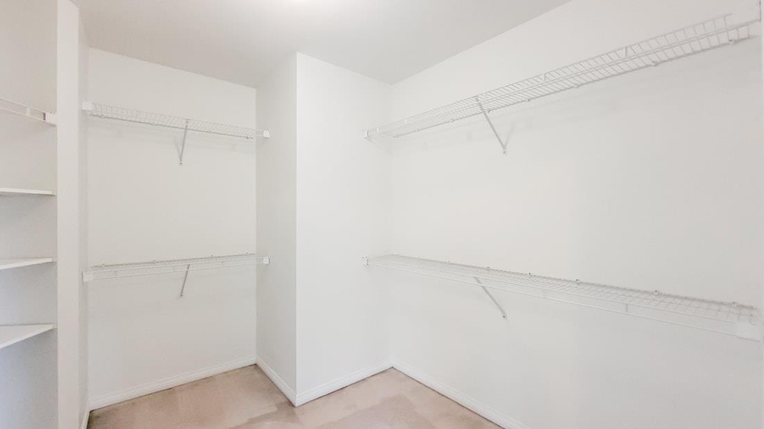 8169 153a Street, Surrey, British Columbia  V3S 8S5 - Photo 20 - R3107525