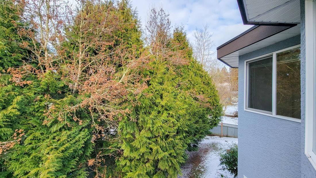 8169 153a Street, Surrey, British Columbia  V3S 8S5 - Photo 23 - R3107525