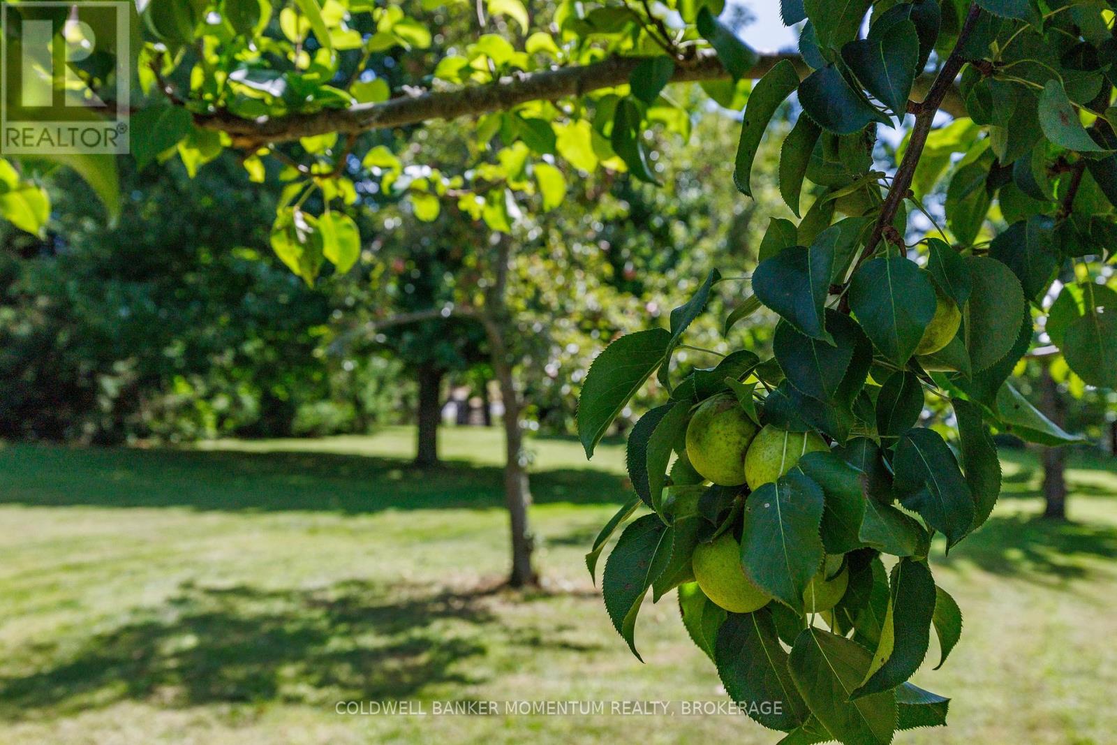 1285 Cockshutt Road, R.r. # 4 Road, Norfolk, Ontario  N3Y 4K3 - Photo 38 - X12966334