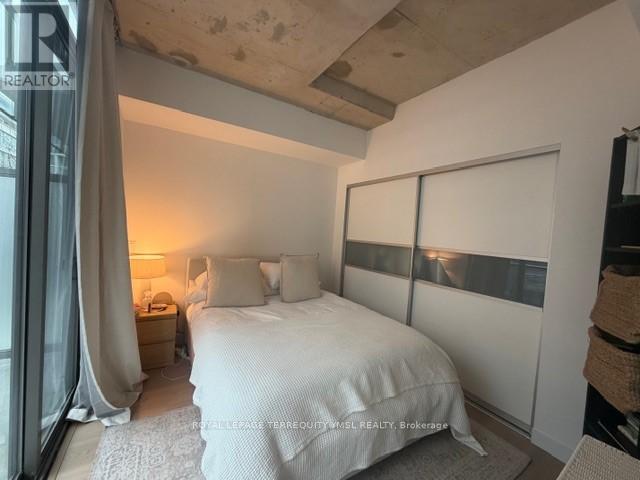 310 - 55 Stewart Street, Toronto, Ontario  M5V 2V1 - Photo 17 - C12966412