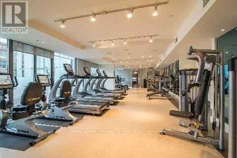 310 - 55 Stewart Street, Toronto, Ontario  M5V 2V1 - Photo 3 - C12966412