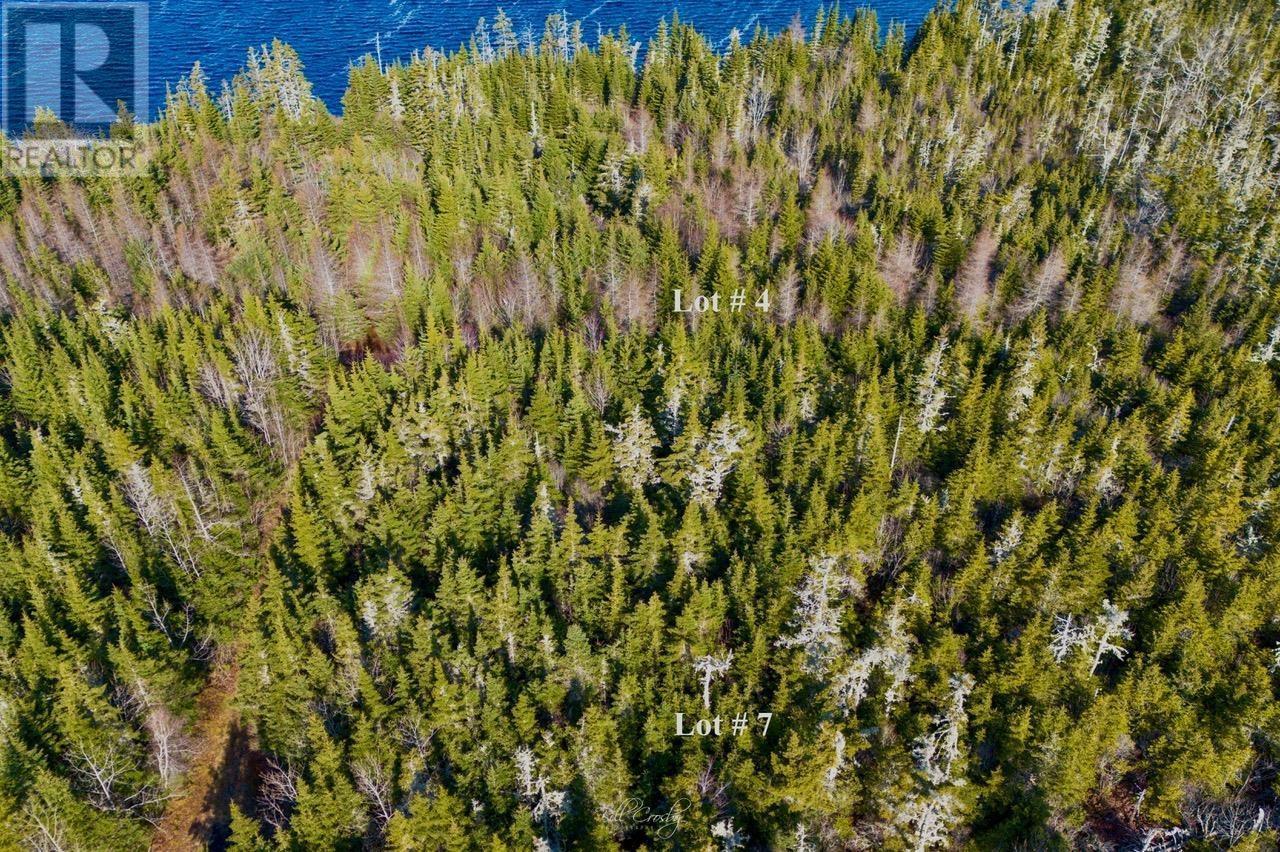 Lots Matthew's Lake Road, Little Harbour, Nova Scotia  B0T 1V0 - Photo 3 - 202507071