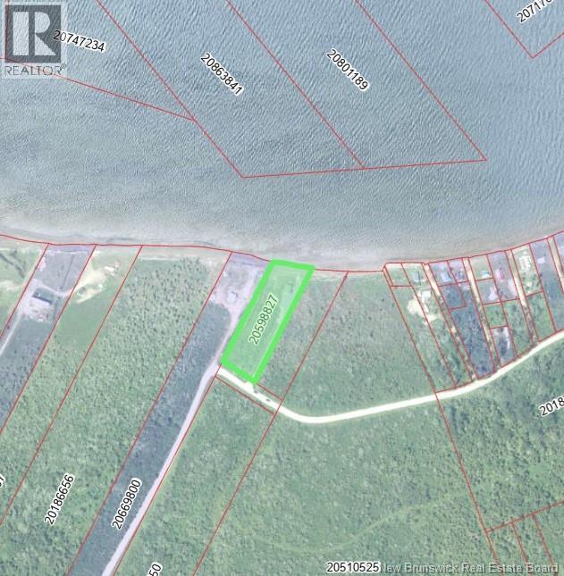 85 Allée Pigeon Beach, Pigeon Hill, New Brunswick  E8T 2T1 - Photo 31 - NB136542