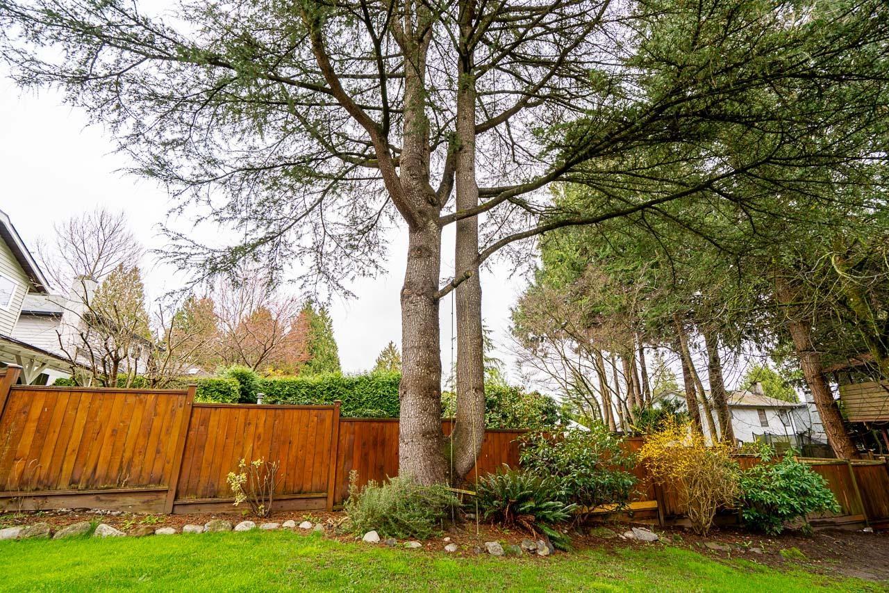 11826 Alderwood Crescent, Delta, British Columbia  V4E 3G1 - Photo 34 - R3105801