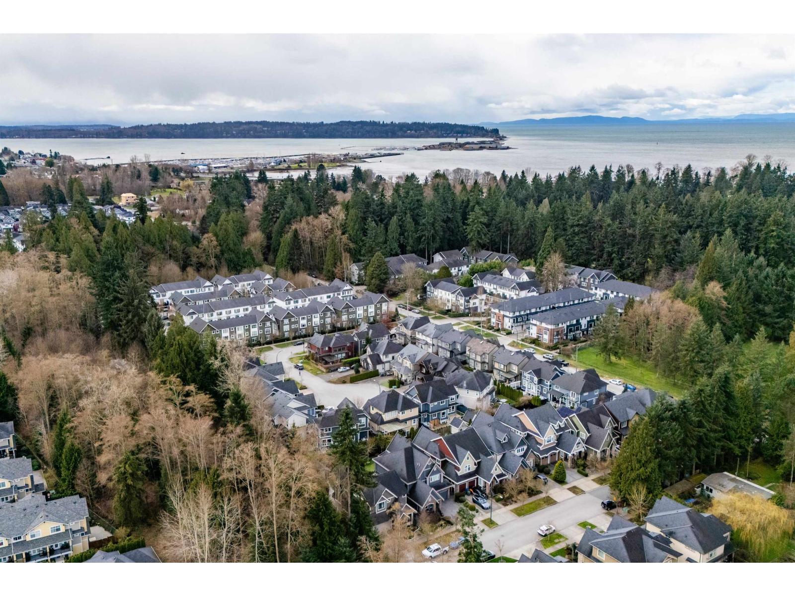 310 171a Street, Surrey, British Columbia  V3Z 9P5 - Photo 38 - R3107223