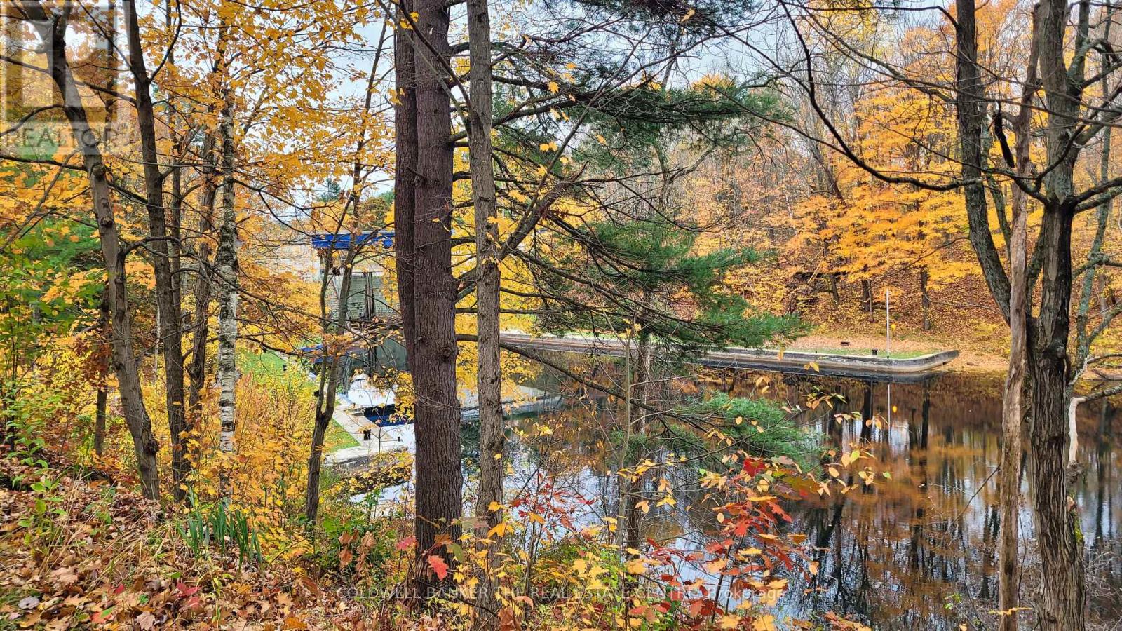 2562 Norton Road, Severn, Ontario  L0K 2B0 - Photo 27 - S12966230