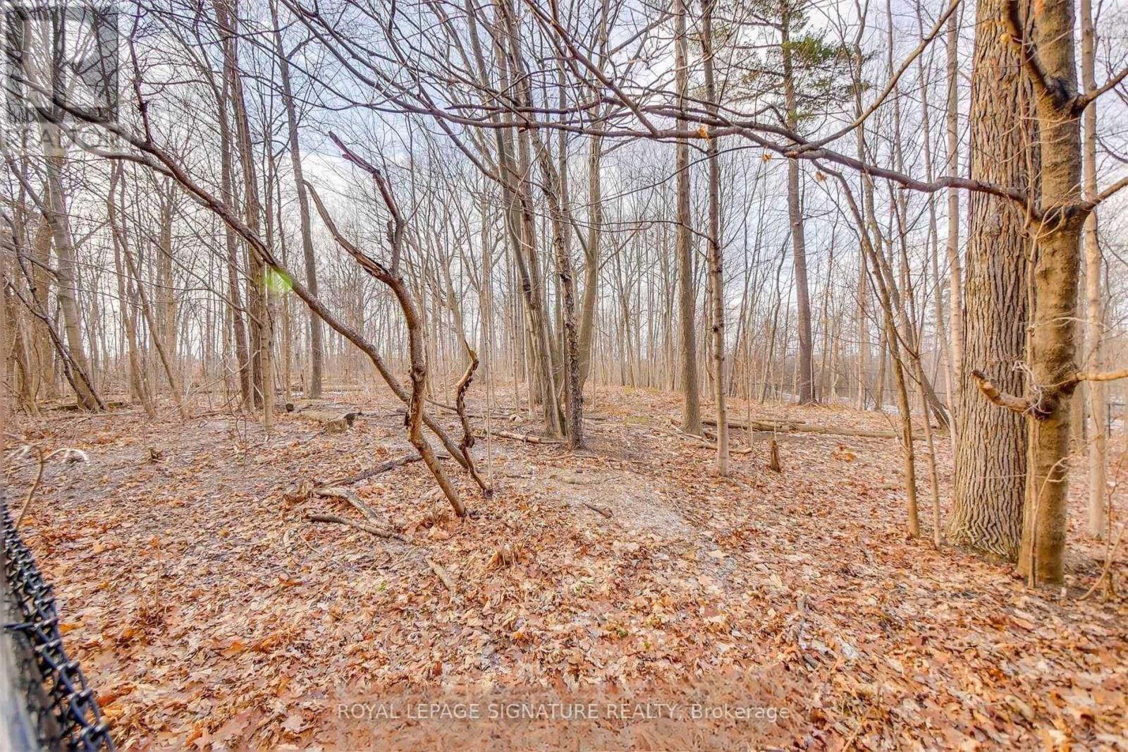 15 - 3492 Widdicombe Way, Mississauga, Ontario  L5L 0B8 - Photo 24 - W12966470