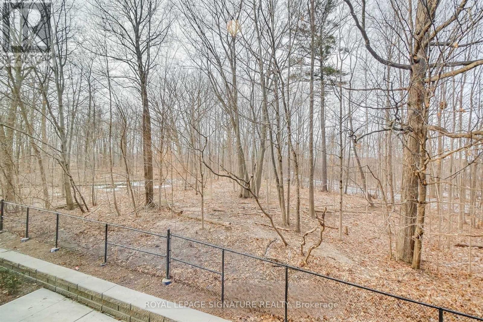 15 - 3492 Widdicombe Way, Mississauga, Ontario  L5L 0B8 - Photo 25 - W12966470