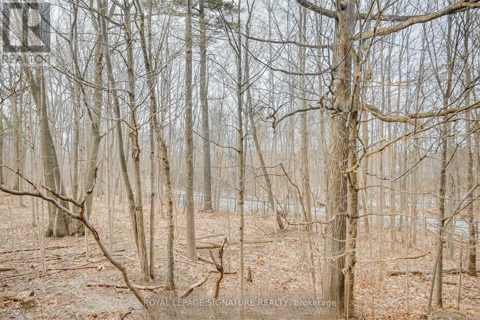 15 - 3492 Widdicombe Way, Mississauga, Ontario  L5L 0B8 - Photo 26 - W12966470