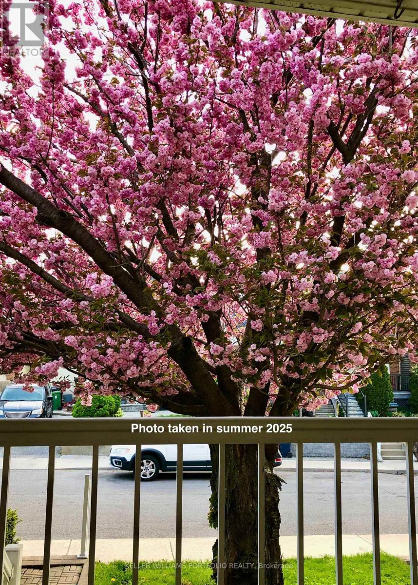 31 Mcroberts Avenue, Toronto, Ontario  M6E 4P3 - Photo 36 - W12966498