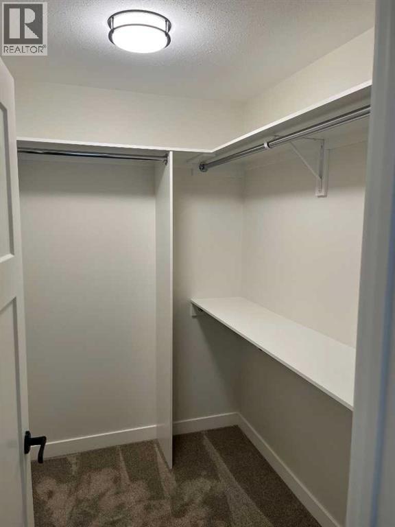 3 Greenview Crescent, Foremost, Alberta  T0K 0X0 - Photo 11 - A2295426