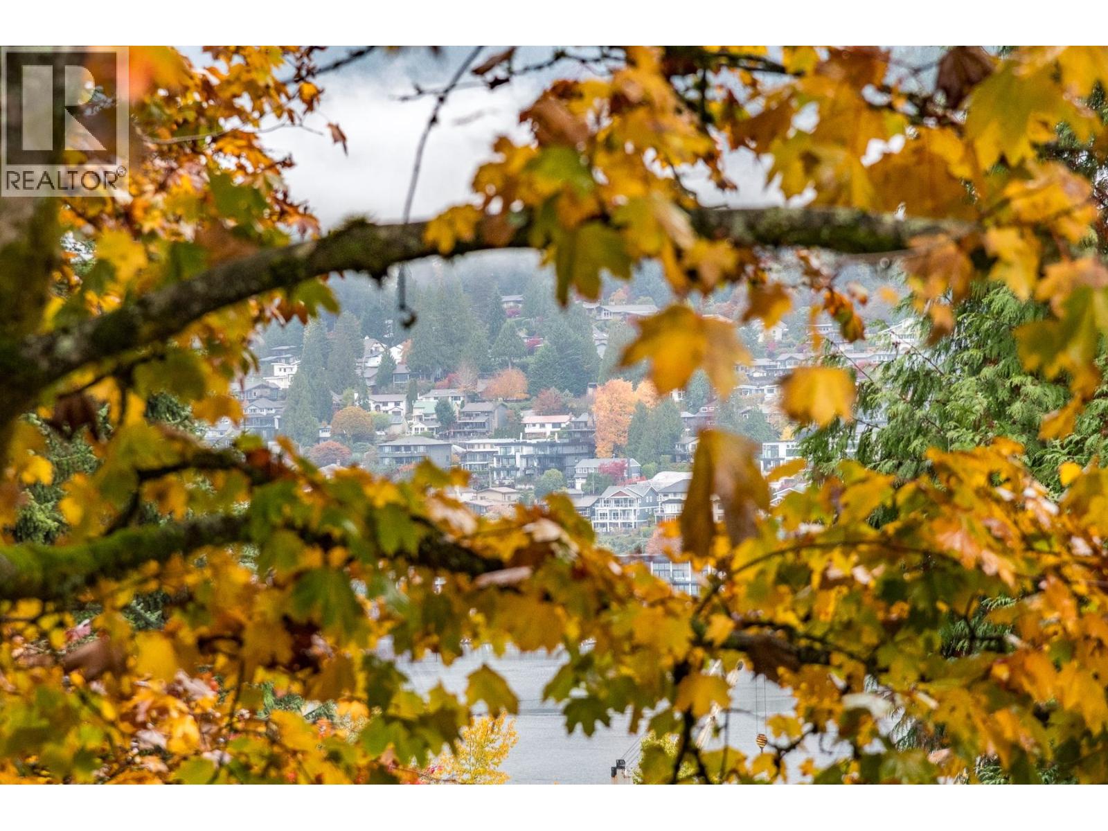 507 Cambridge Way, Port Moody, British Columbia  V3H 3V1 - Photo 28 - R3107439