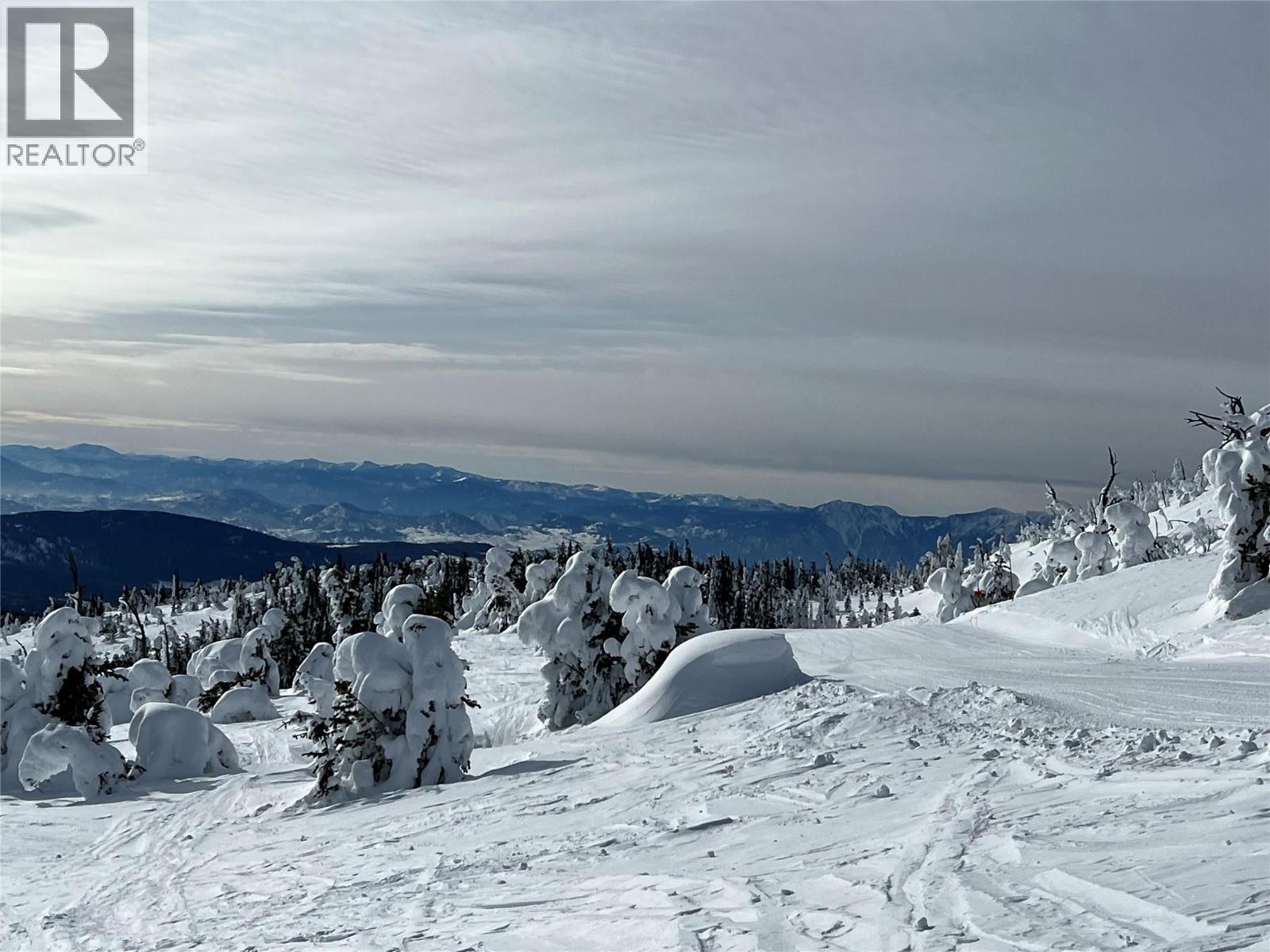 127 Wapiti Creek Road Oliver Photo 19