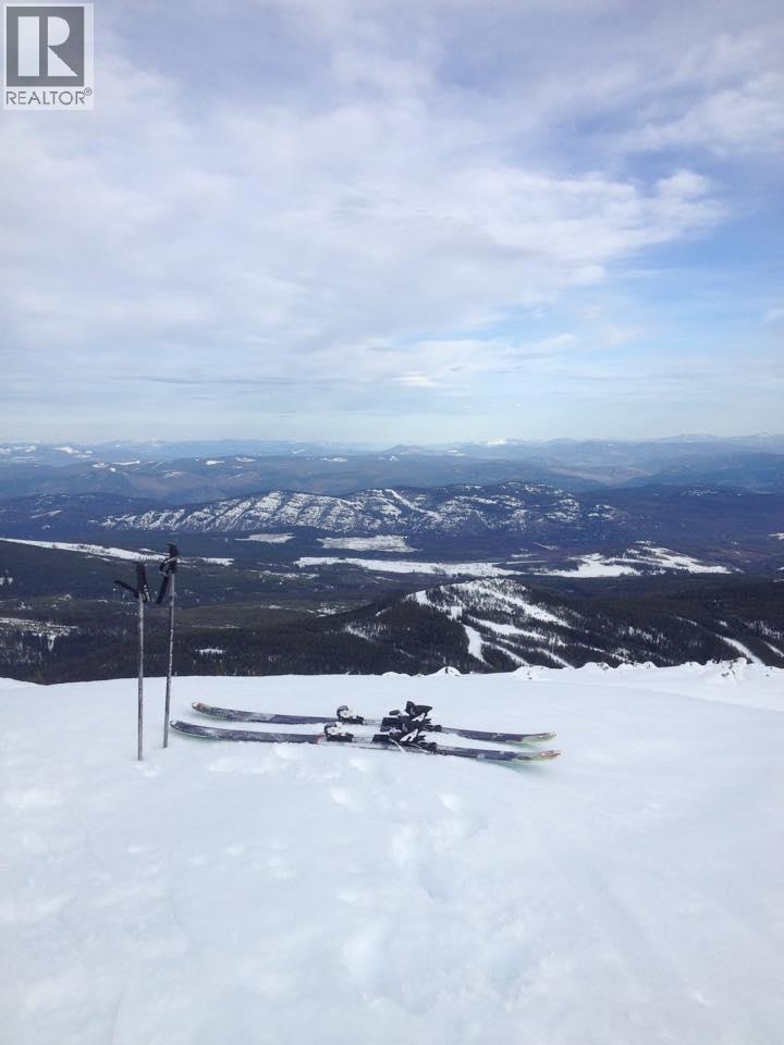 127 Wapiti Creek Road Oliver Photo 13