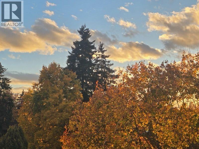 309 9151 No 5 Road, Richmond, British Columbia  V7A 4E1 - Photo 31 - R3105772