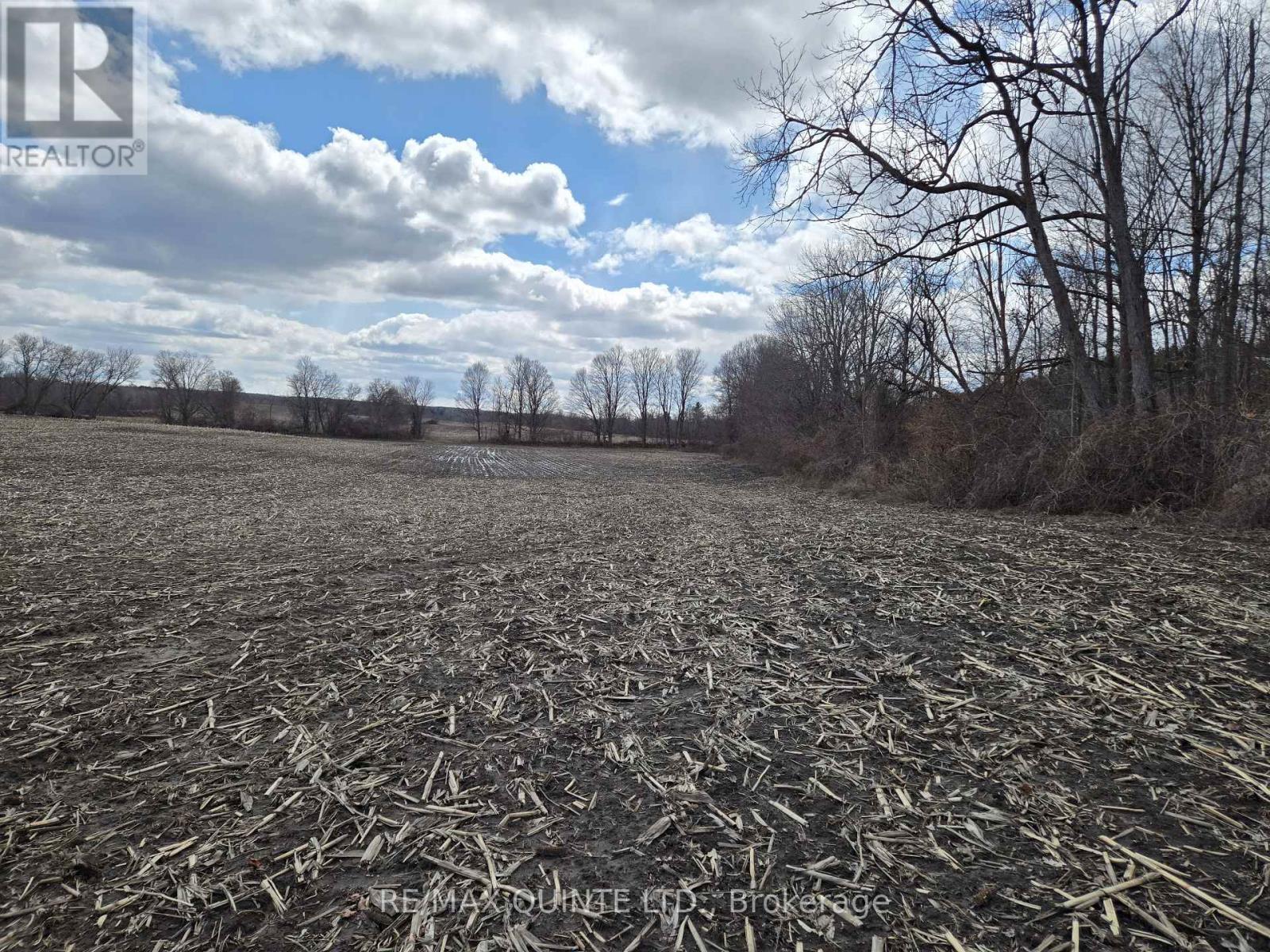 0 Marrisett Road, Tweed, Ontario  K0K 3H0 - Photo 17 - X12833442