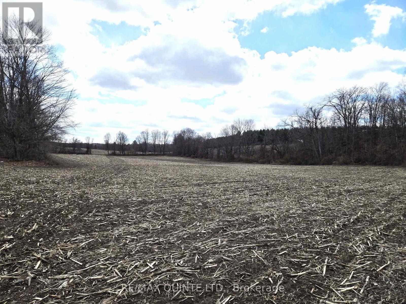 0 Marrisett Road, Tweed, Ontario  K0K 3H0 - Photo 24 - X12833442