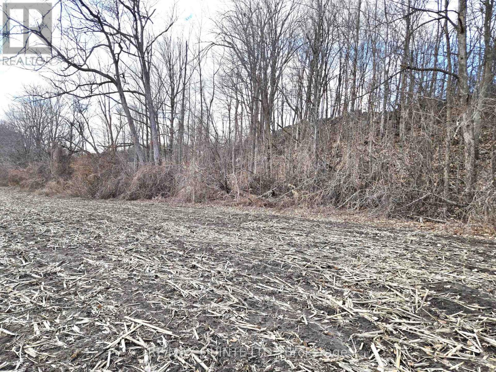 0 Marrisett Road, Tweed, Ontario  K0K 3H0 - Photo 18 - X12833442