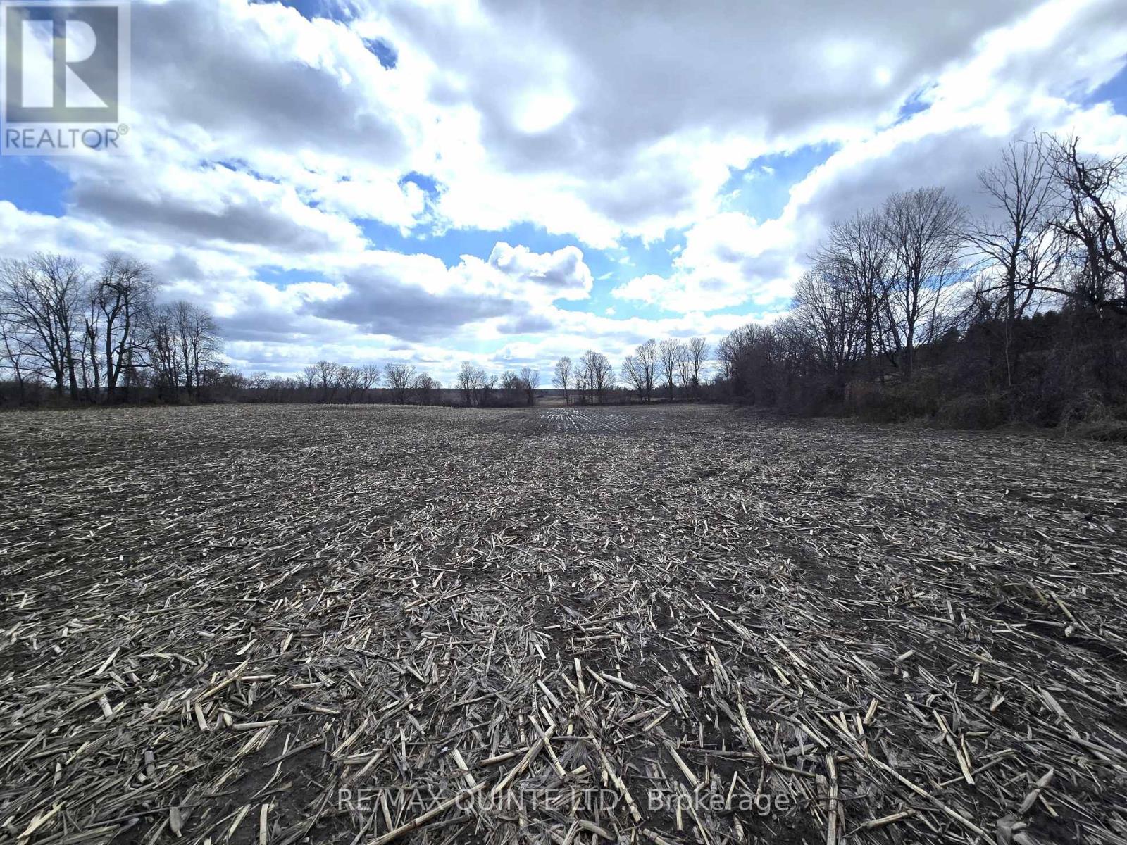 0 Marrisett Road, Tweed, Ontario  K0K 3H0 - Photo 23 - X12833442