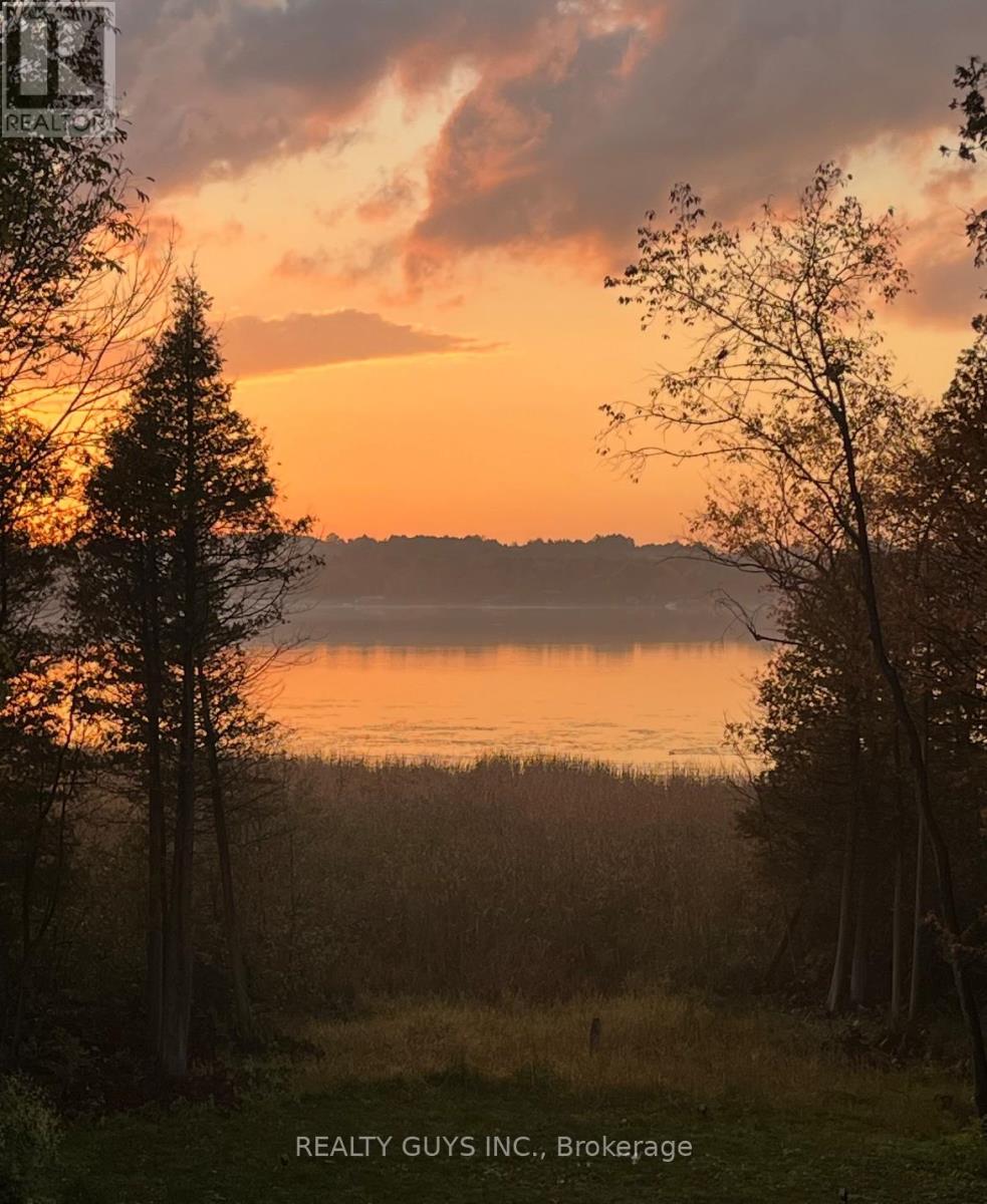 2 Ivy Street, Kawartha Lakes, Ontario  K0L 2W0 - Photo 39 - X12937110