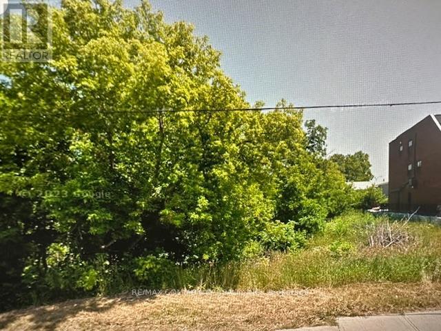 35 Church Street N, New Tecumseth, Ontario  L9R 1L5 - Photo 4 - N12966612