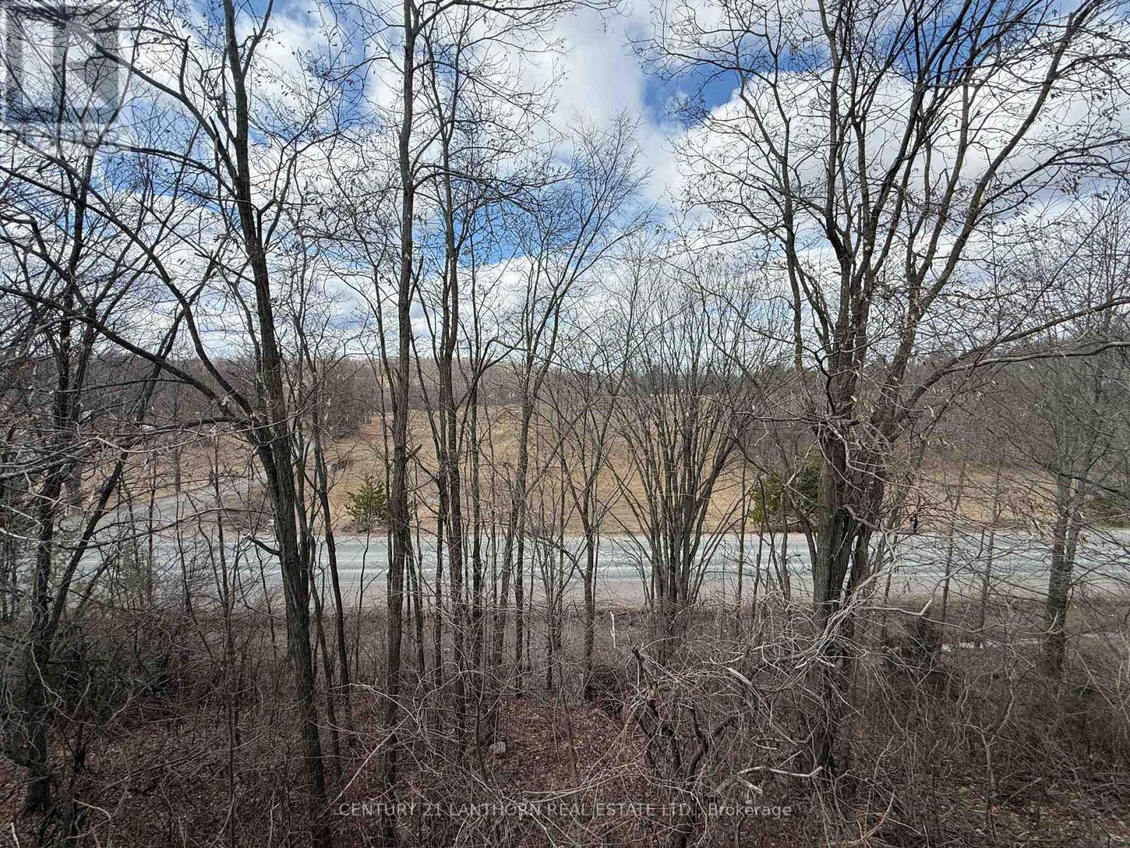 656 A Cooper Road, Madoc, Ontario  K0K 2K0 - Photo 40 - X12769668