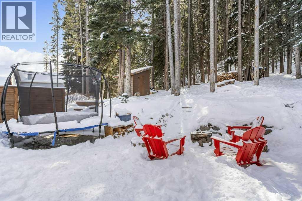 979 Wilson Way, Canmore, Alberta  T1W 2Y9 - Photo 27 - A2299675