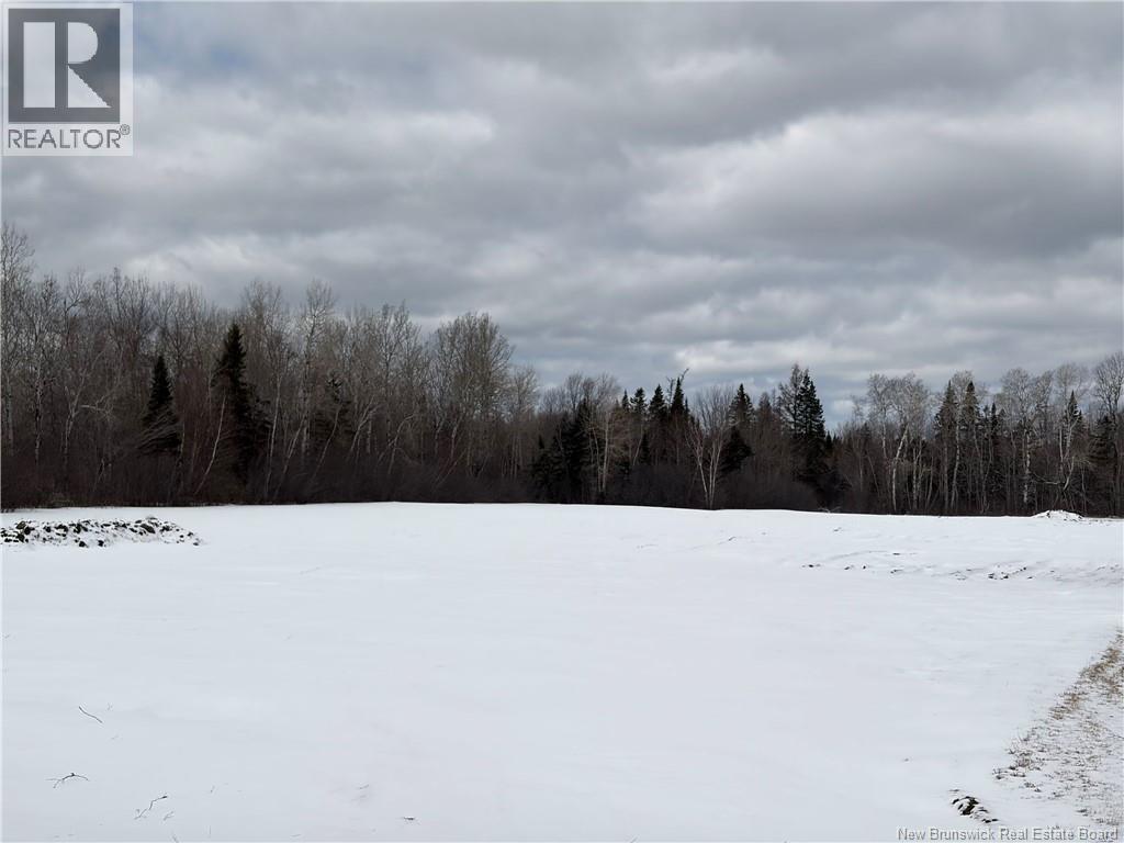 18.28 Hec Route 108, Bryenton, New Brunswick  E1V 5C6 - Photo 4 - NB131496