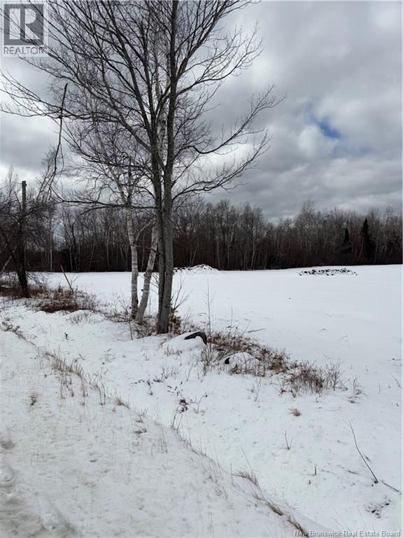 18.28 Hec Route 108, Bryenton, New Brunswick  E1V 5C6 - Photo 3 - NB131496
