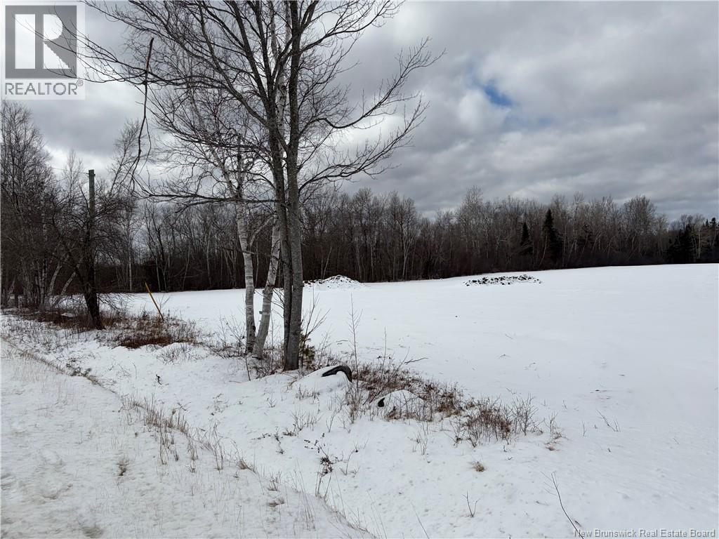 18.28 Hec Route 108, Bryenton, New Brunswick  E1V 5C6 - Photo 5 - NB131496