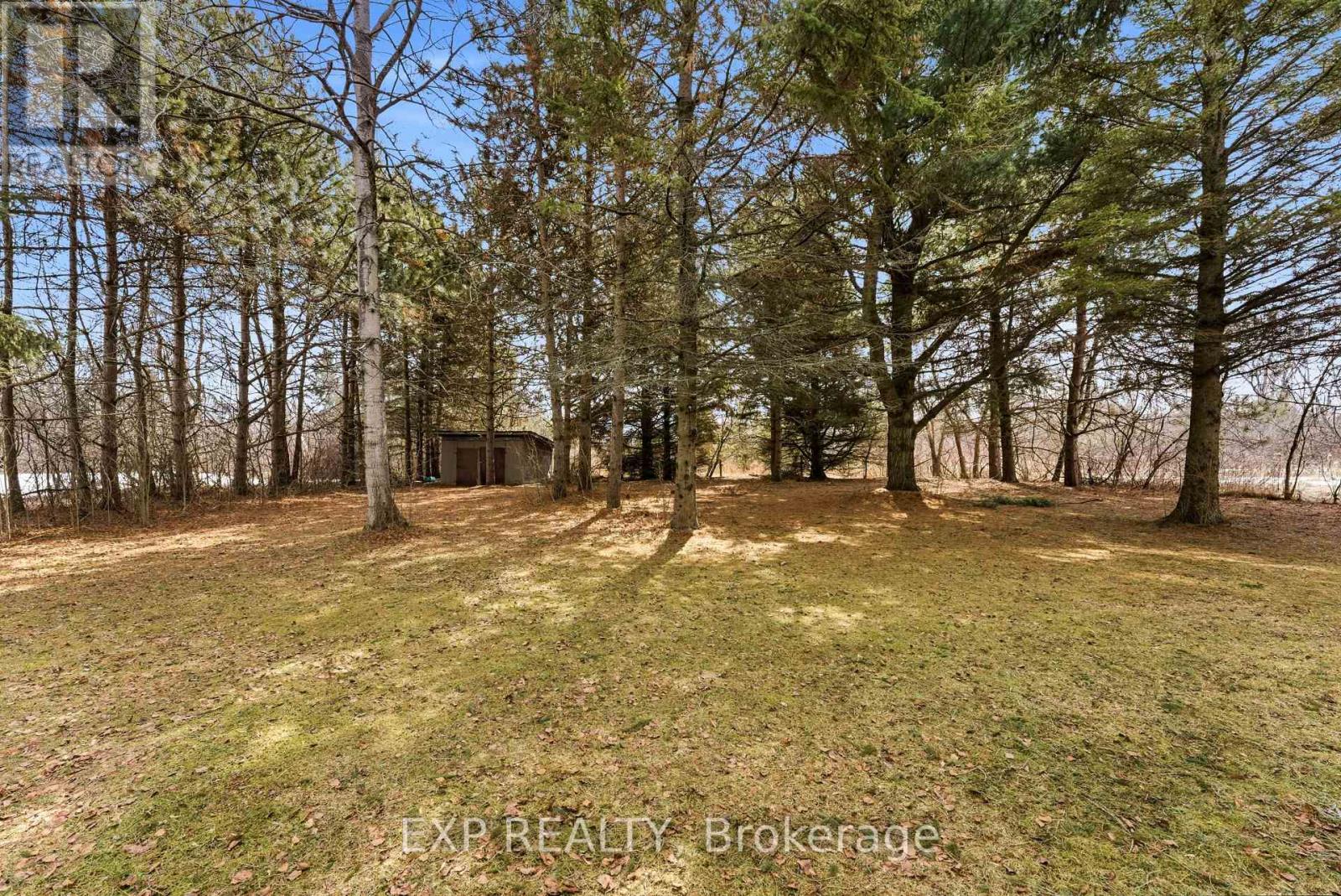 1303 County Road 64, Quinte West, Ontario  K0K 1L0 - Photo 38 - X12966758