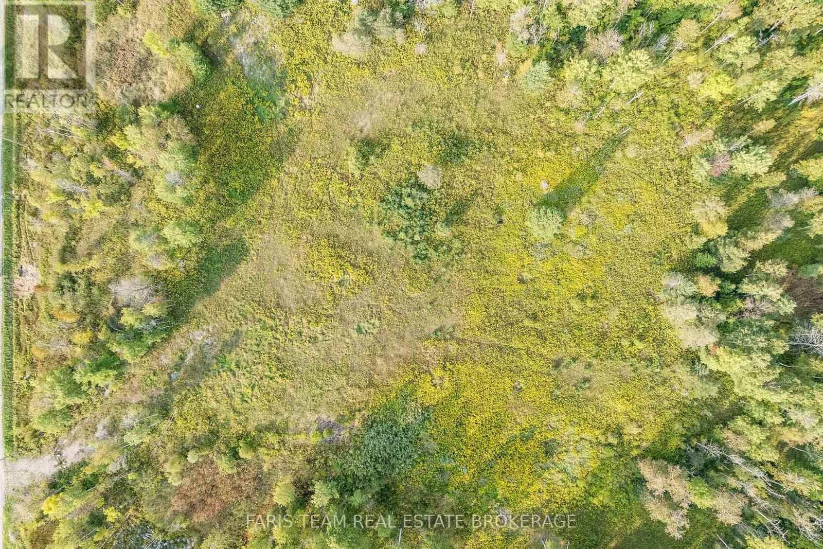 3152 Davis Drive, East Gwillimbury, Ontario  L3Y 4W1 - Photo 8 - N12702584