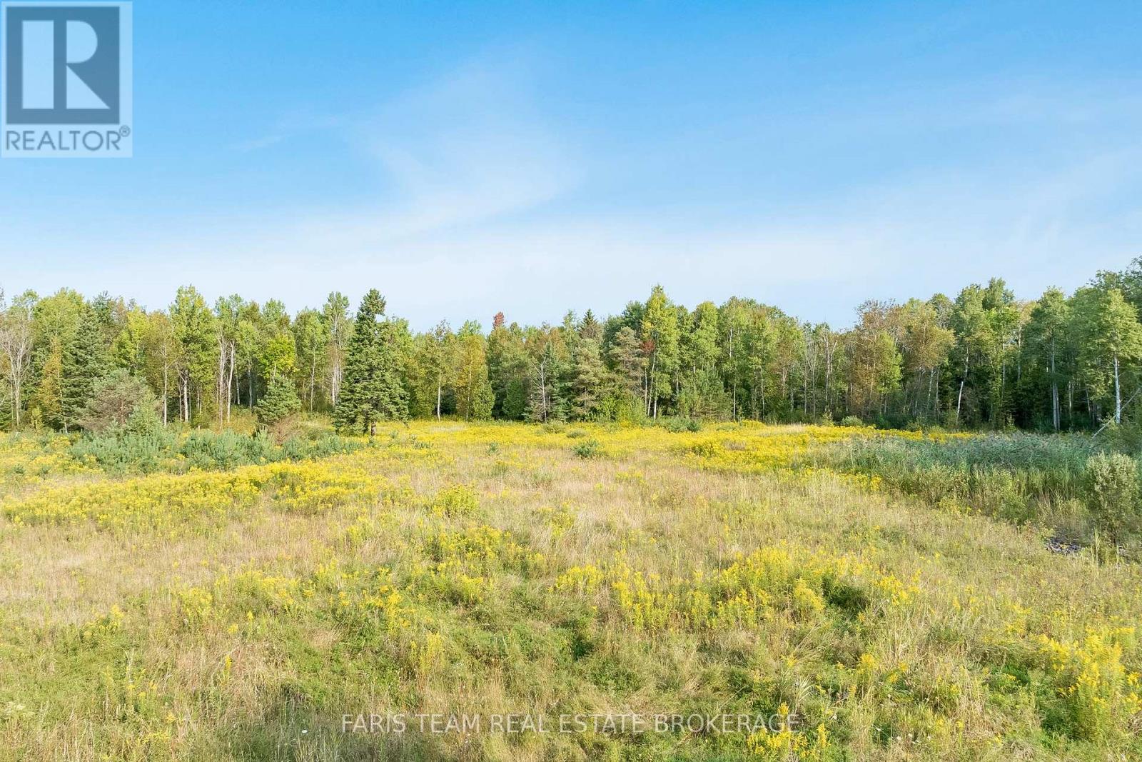 3152 Davis Drive, East Gwillimbury, Ontario  L3Y 4W1 - Photo 6 - N12702584