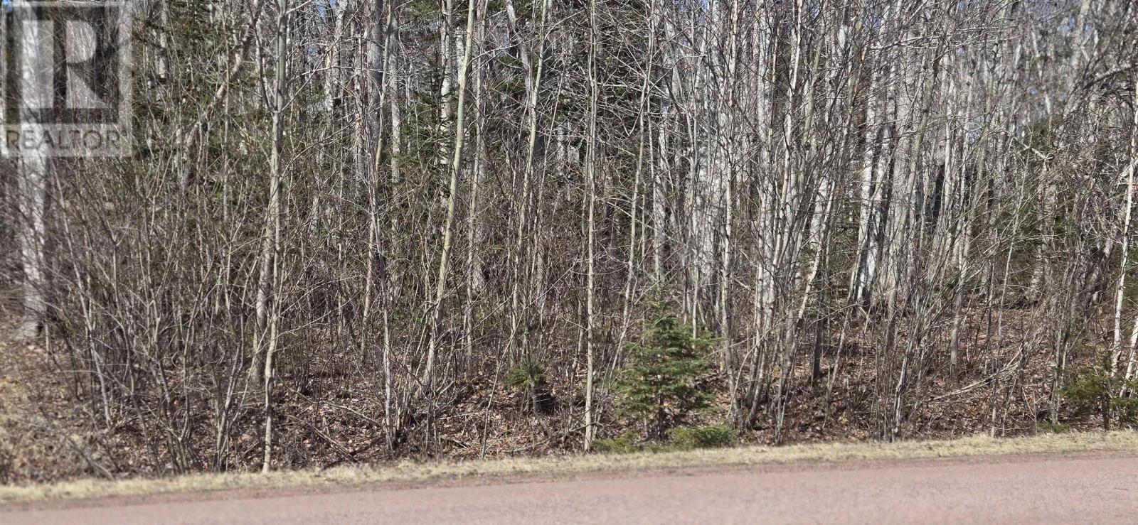 153 Taylors Road, Pomquet, Nova Scotia  B2G 2L4 - Photo 4 - 202606536