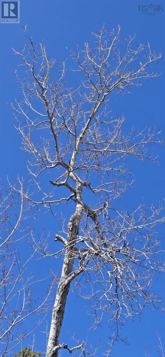 153 Taylors Road, Pomquet, Nova Scotia  B2G 2L4 - Photo 2 - 202606536