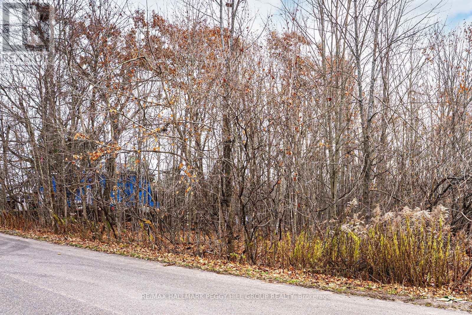 17 Valleyview Drive, Oro-Medonte, Ontario  L0K 1N0 - Photo 4 - S12967032