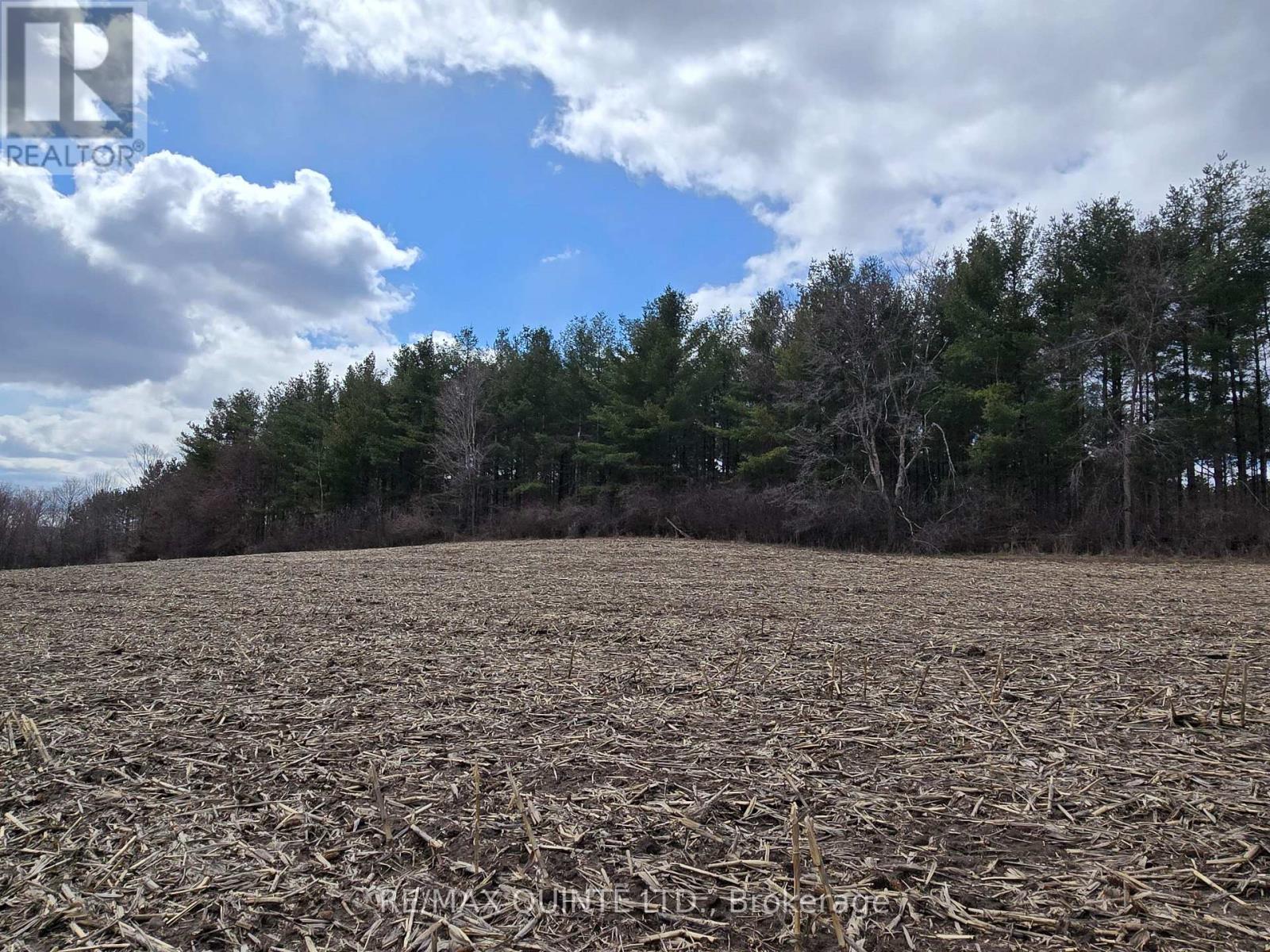 0 Marrisett Road, Tweed, Ontario K0K 3H0 - Photo 4 - X12833428