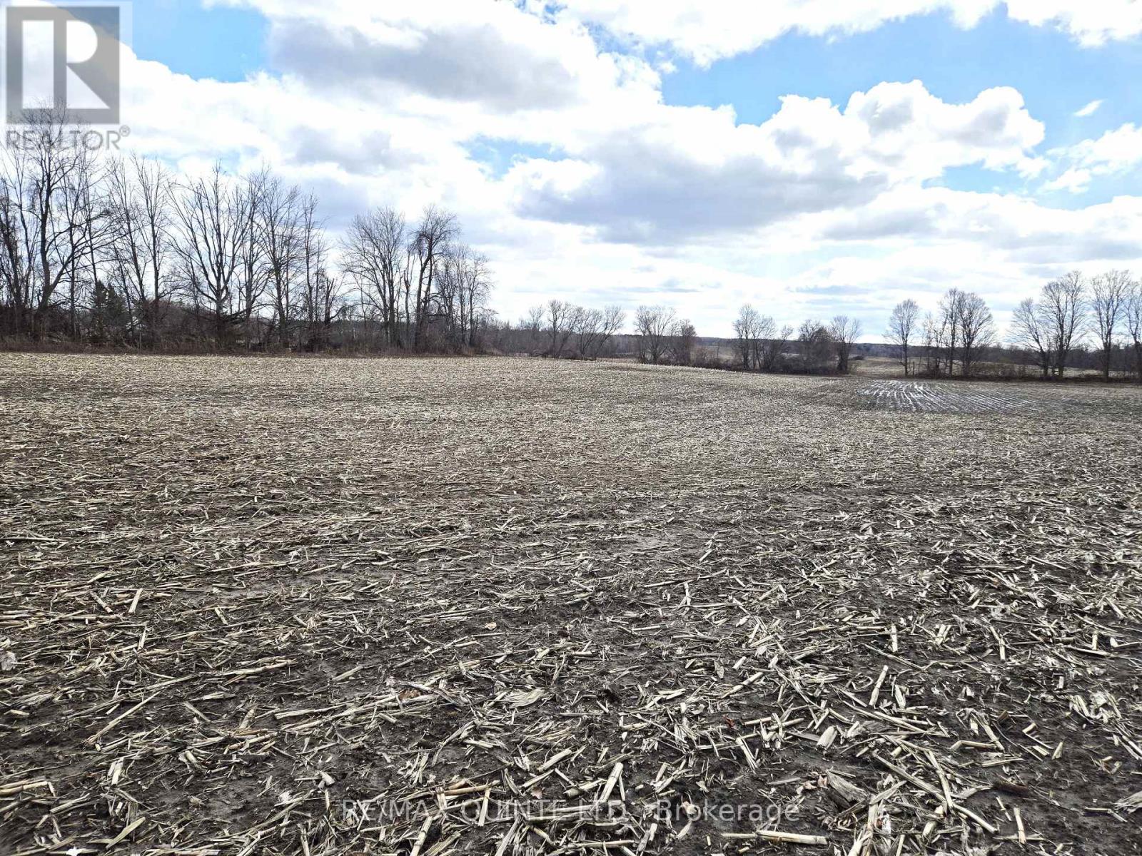 0 Marrisett Road, Tweed, Ontario K0K 3H0 - Photo 7 - X12833442