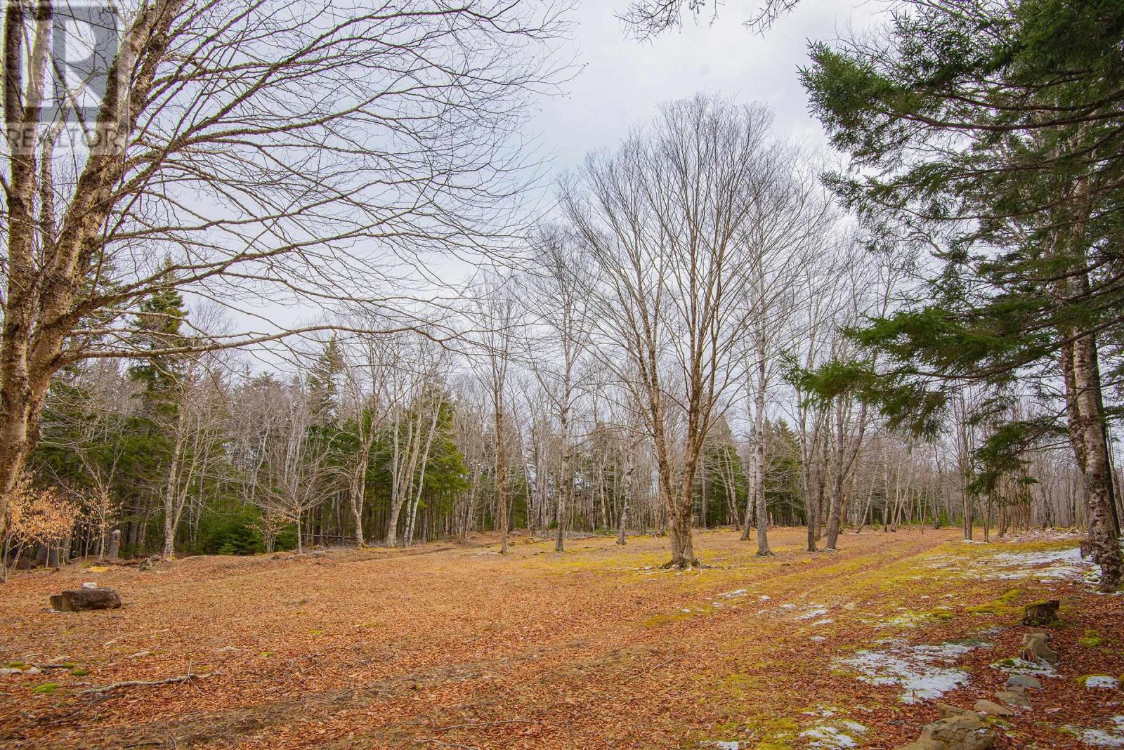 Lot Peter Leblanc Road, Meteghan, Nova Scotia B0W 2J0 - Photo 14 - 202606548