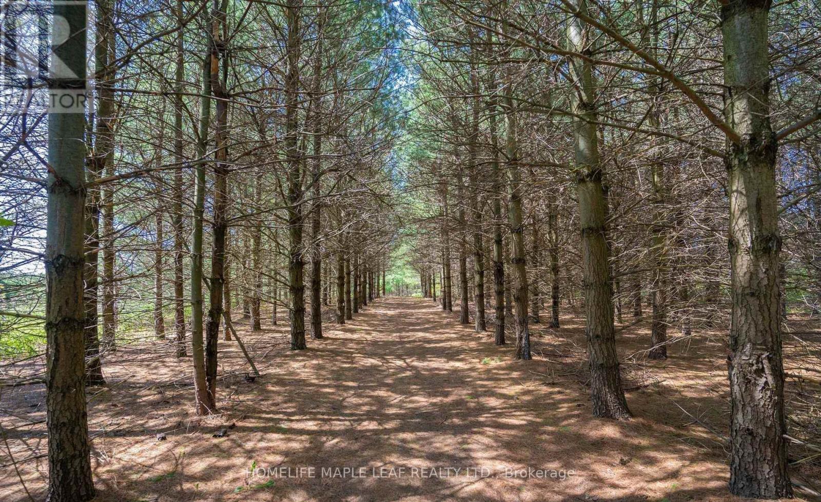 111440 11th Line, East Garafraxa, Ontario  L9W 7A5 - Photo 25 - X12966856