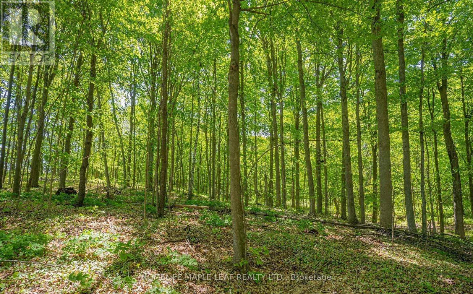 111440 11th Line, East Garafraxa, Ontario  L9W 7A5 - Photo 27 - X12966856