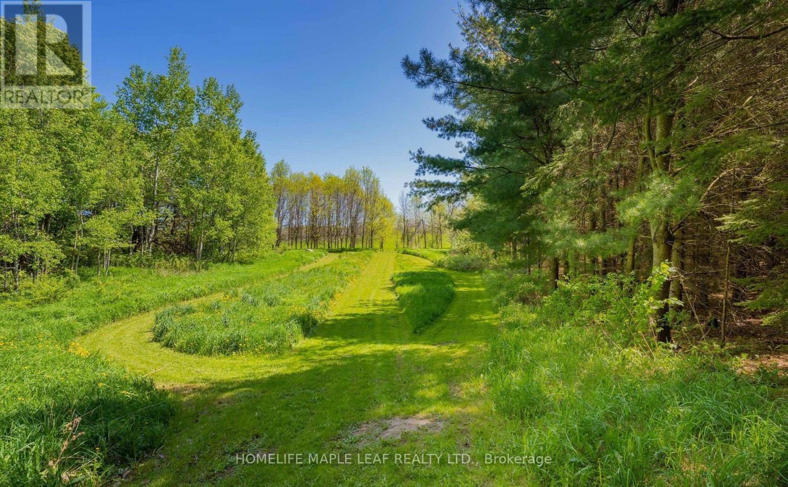 111440 11th Line, East Garafraxa, Ontario  L9W 7A5 - Photo 28 - X12966856