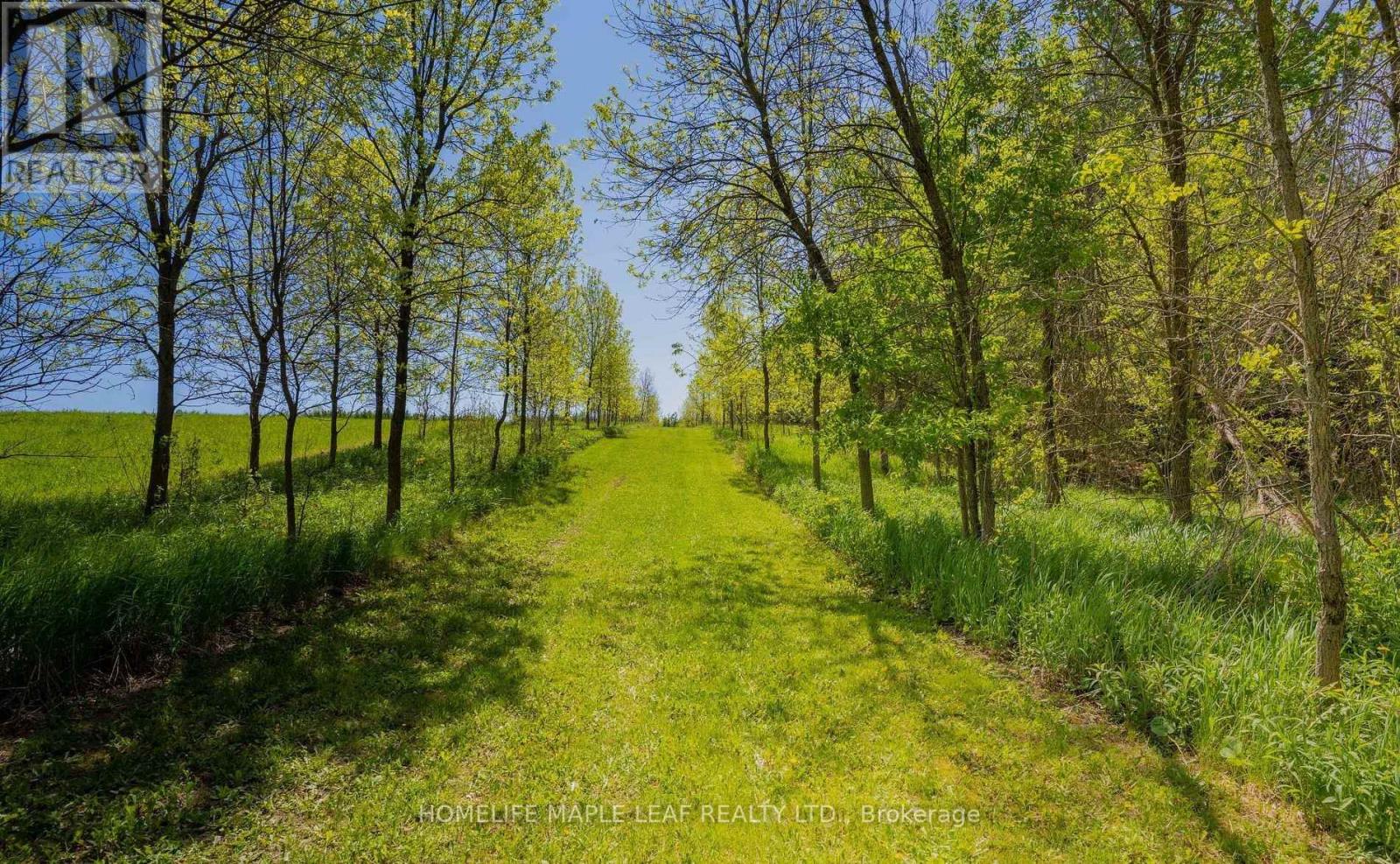 111440 11th Line, East Garafraxa, Ontario  L9W 7A5 - Photo 29 - X12966856