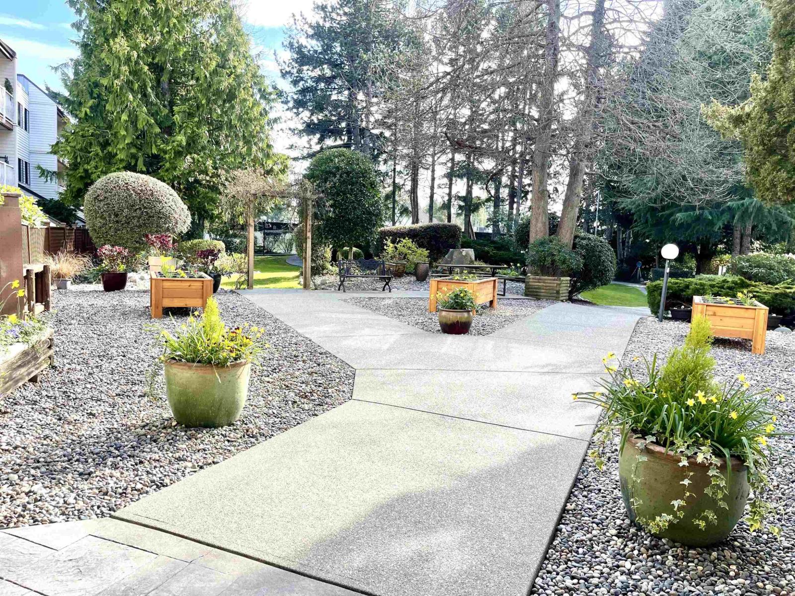 217 12890 17 Avenue, Surrey, British Columbia  V4A 1T5 - Photo 2 - R3105372