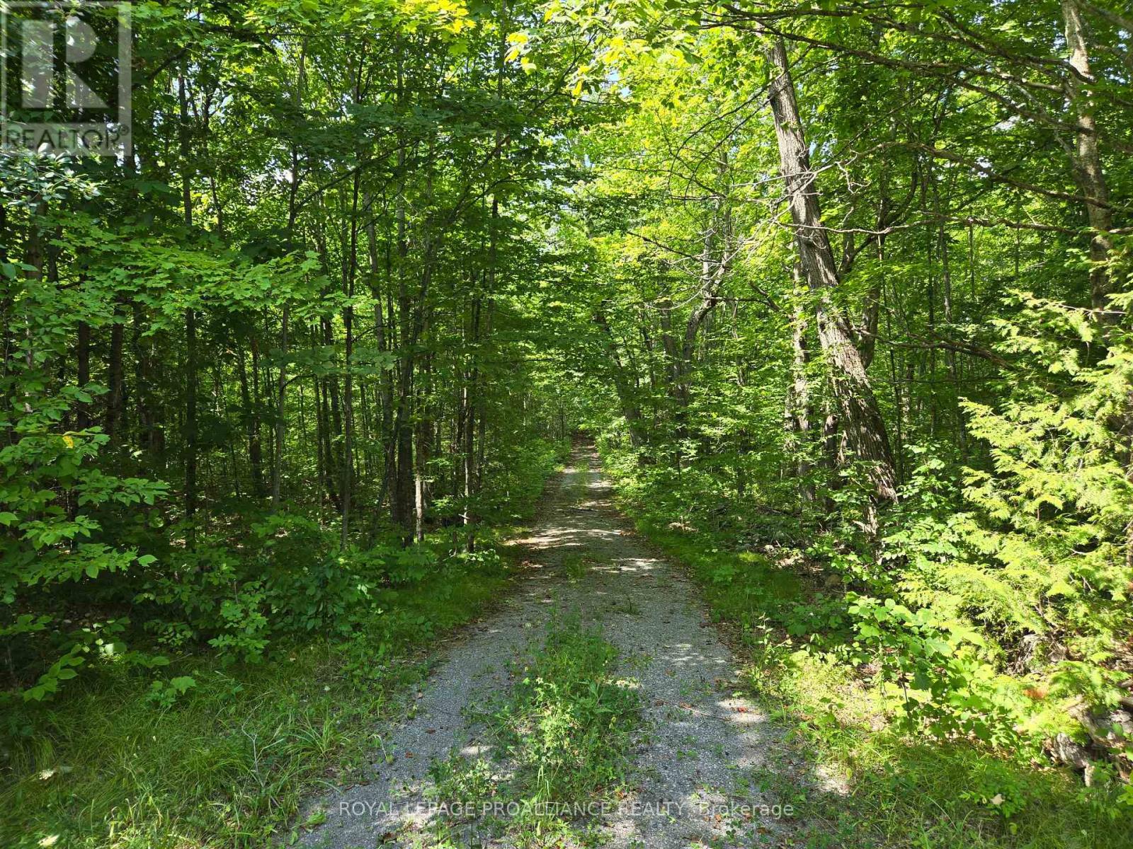 2201 Moneymore Road, Tweed (Hungerford (Twp)), Ontario  K0K 2Y0 - Photo 35 - X12967170