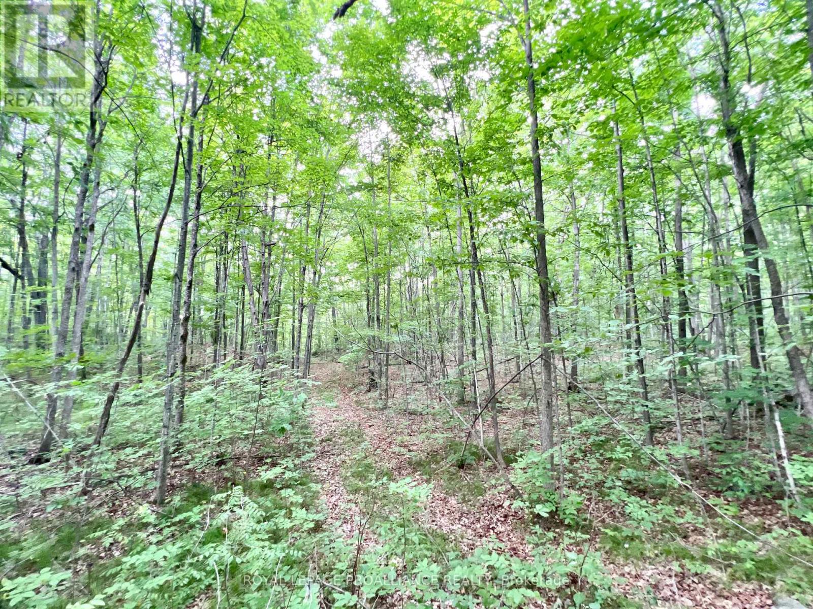 2201 Moneymore Road, Tweed (Hungerford (Twp)), Ontario  K0K 2Y0 - Photo 36 - X12967170